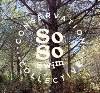 HELP US SAVE GREEN SPACES